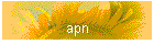 apn