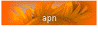 apn