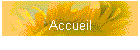 Accueil