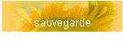 sauvegarde