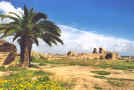 carthage.jpg (84344 octets)