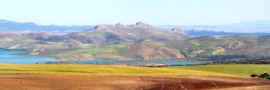 dentelles.jpg (35910 octets)